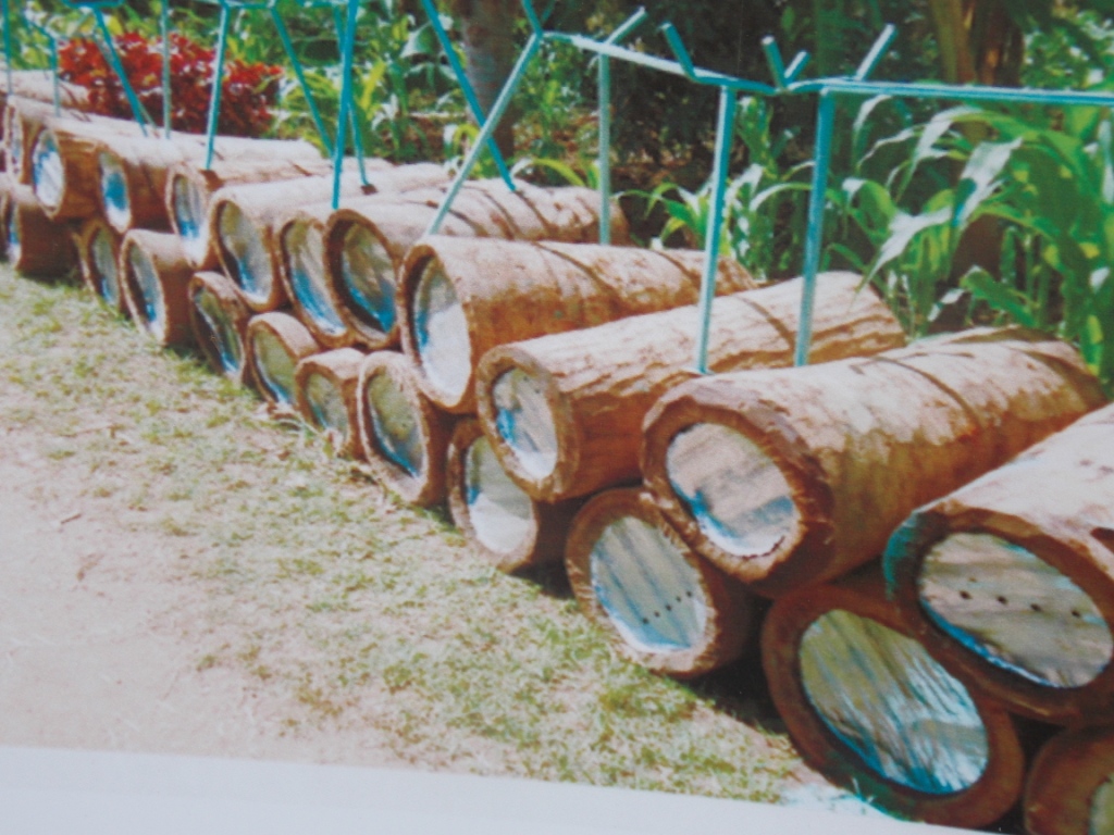 On average, each hive produces between 18 to 25 kilos of honey.” Each kilo costs about UGX 20,000 equivalent to Ksh700 and on a lower side, Okello pockets about UGX100 million or Ksh3 million. He has also dedicated part of his time train youths in apiary and as well as offering ready market for any of his trainees that grapple with market for their honey. Photo/farmbizFILES