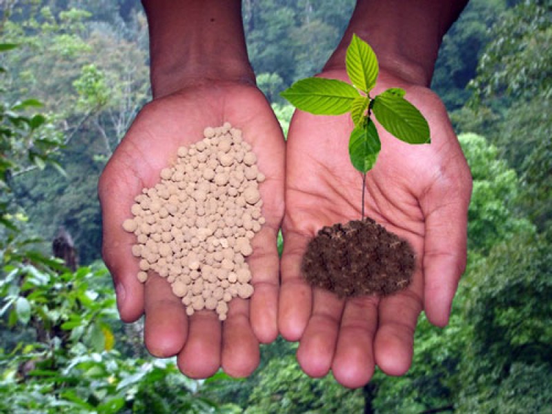 Fertisugar