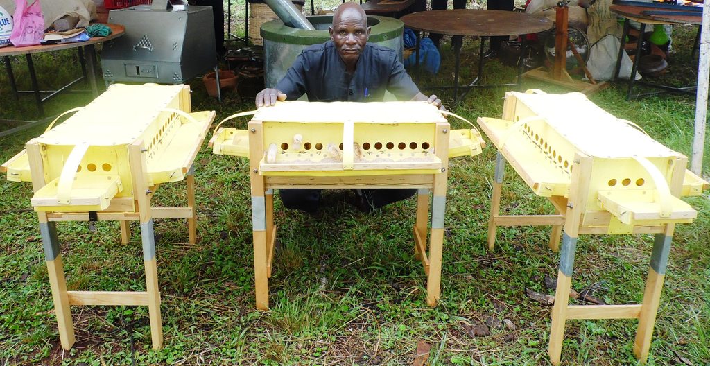 chicks cage.JPG