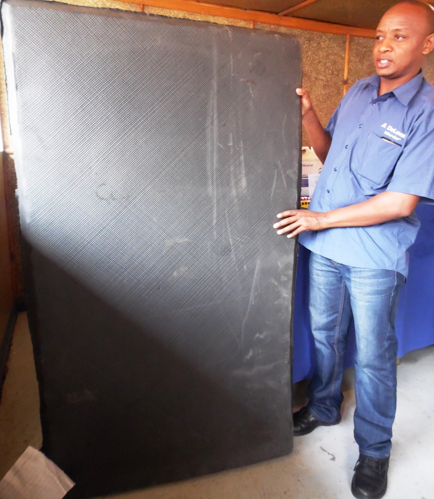 Cow mattress.JPG