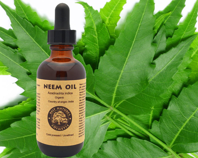 neem oilpix.jpg