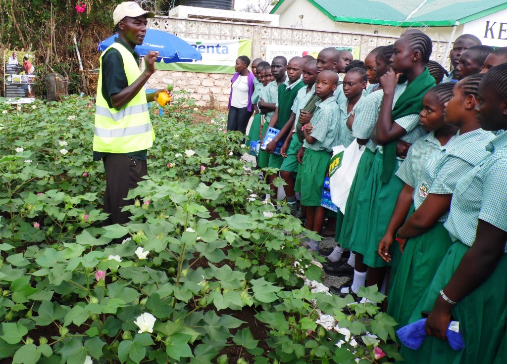 Cotton Joram Kaindi Mombas ASK By Laban Robert.JPG