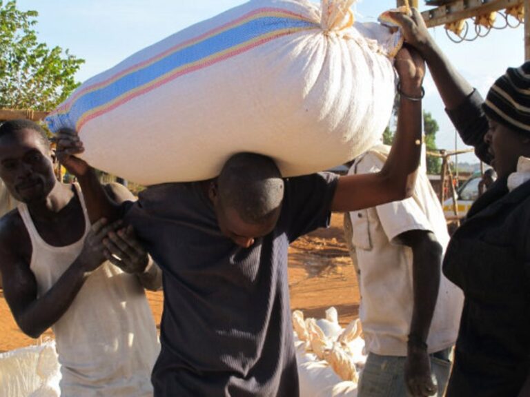Maize bag- By the Star.jpg
