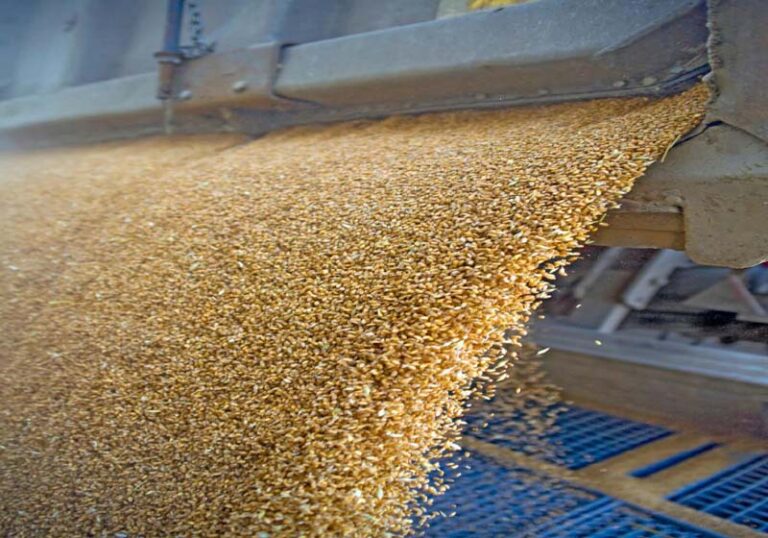 grains.jpg