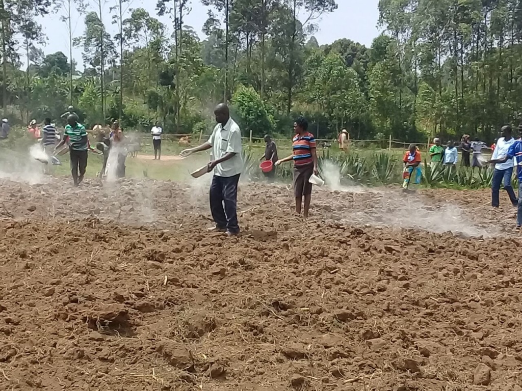 Lime application Nyamira.jpg