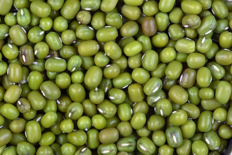N26 Green Grams Variety.jpg