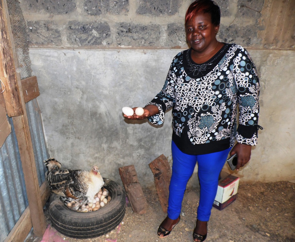 Turky hatching guinea fowl eggs-Lucy Ngugi.JPG