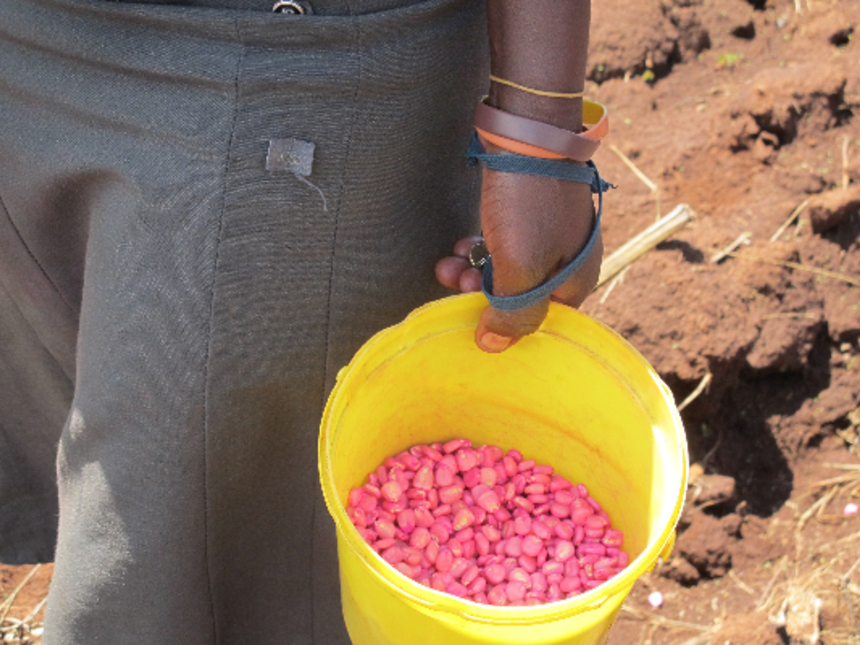 fake.png