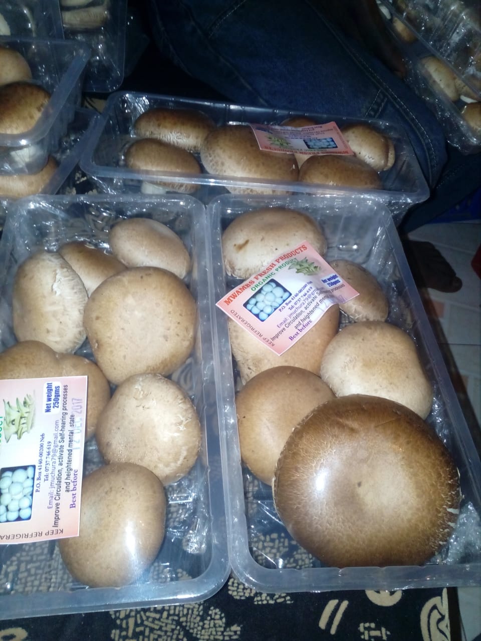 button mushroom