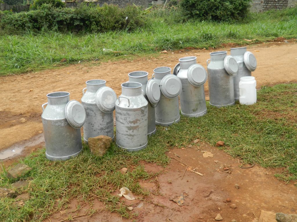 milk cans