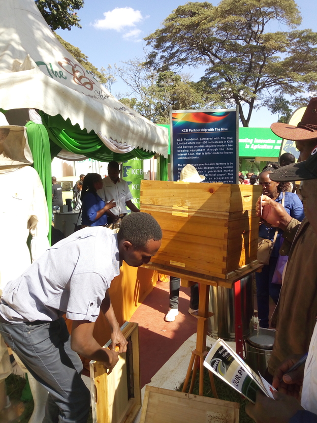 Victor Kimani The Hive Beehives