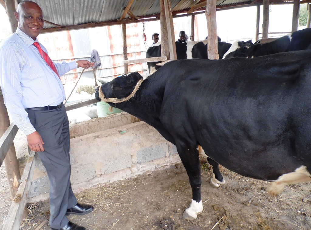 Musau dairy farmer