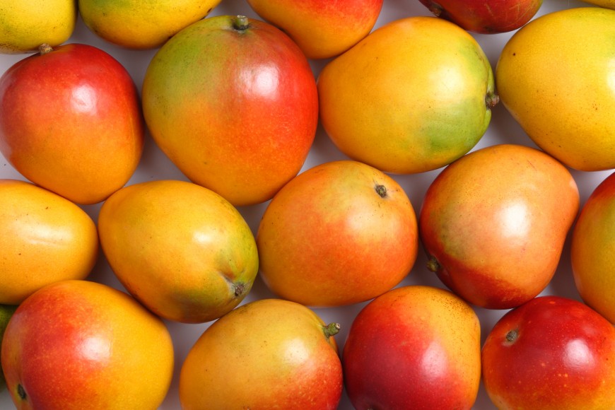 mango k