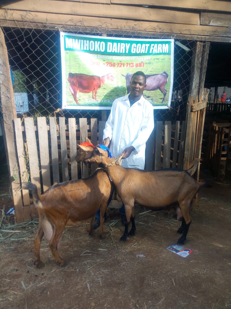 dairy goat farmer