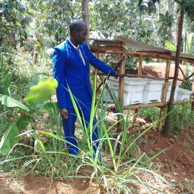 beehive matara