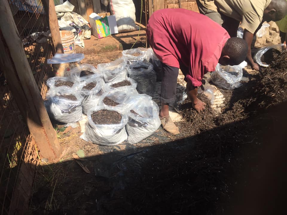 mushroom farmers