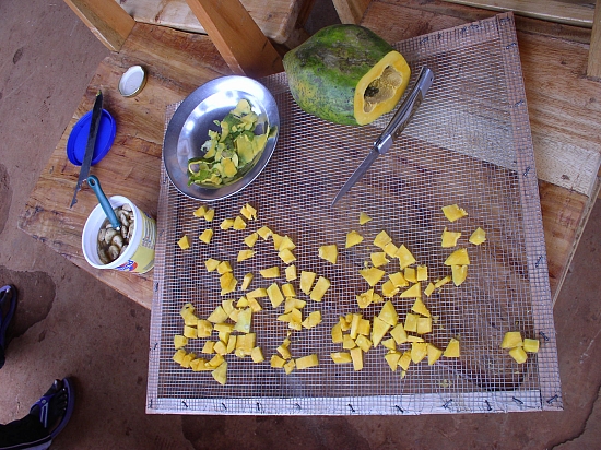 wire mesh with chipped fruits drier