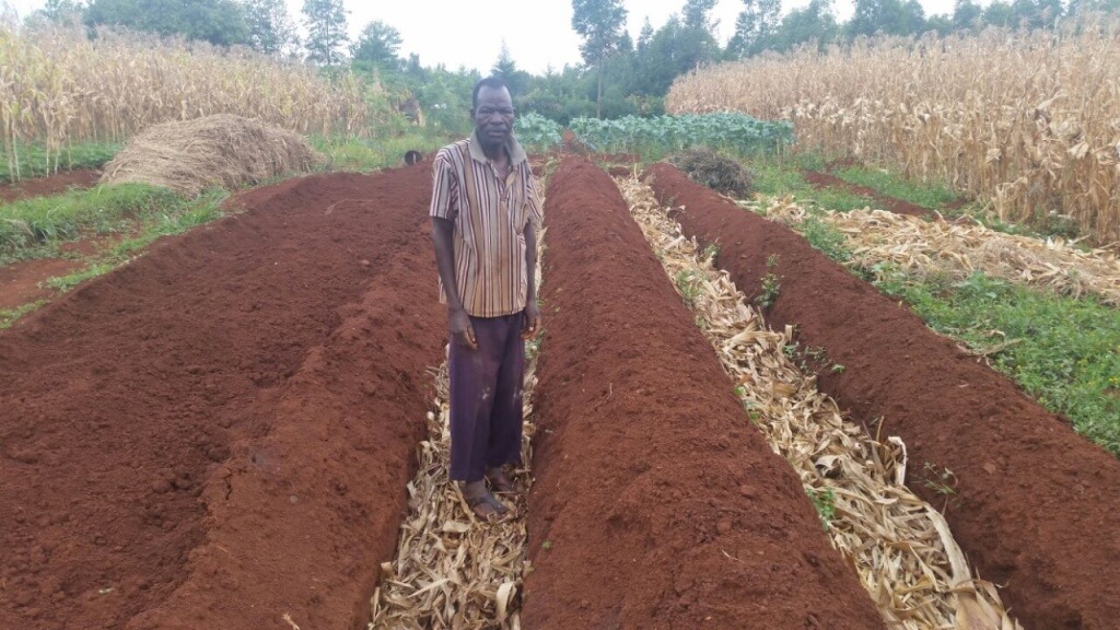 double dug irrigation