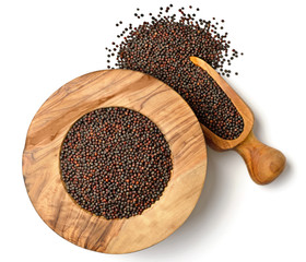 canola seeds