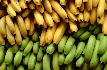 ripe bananas