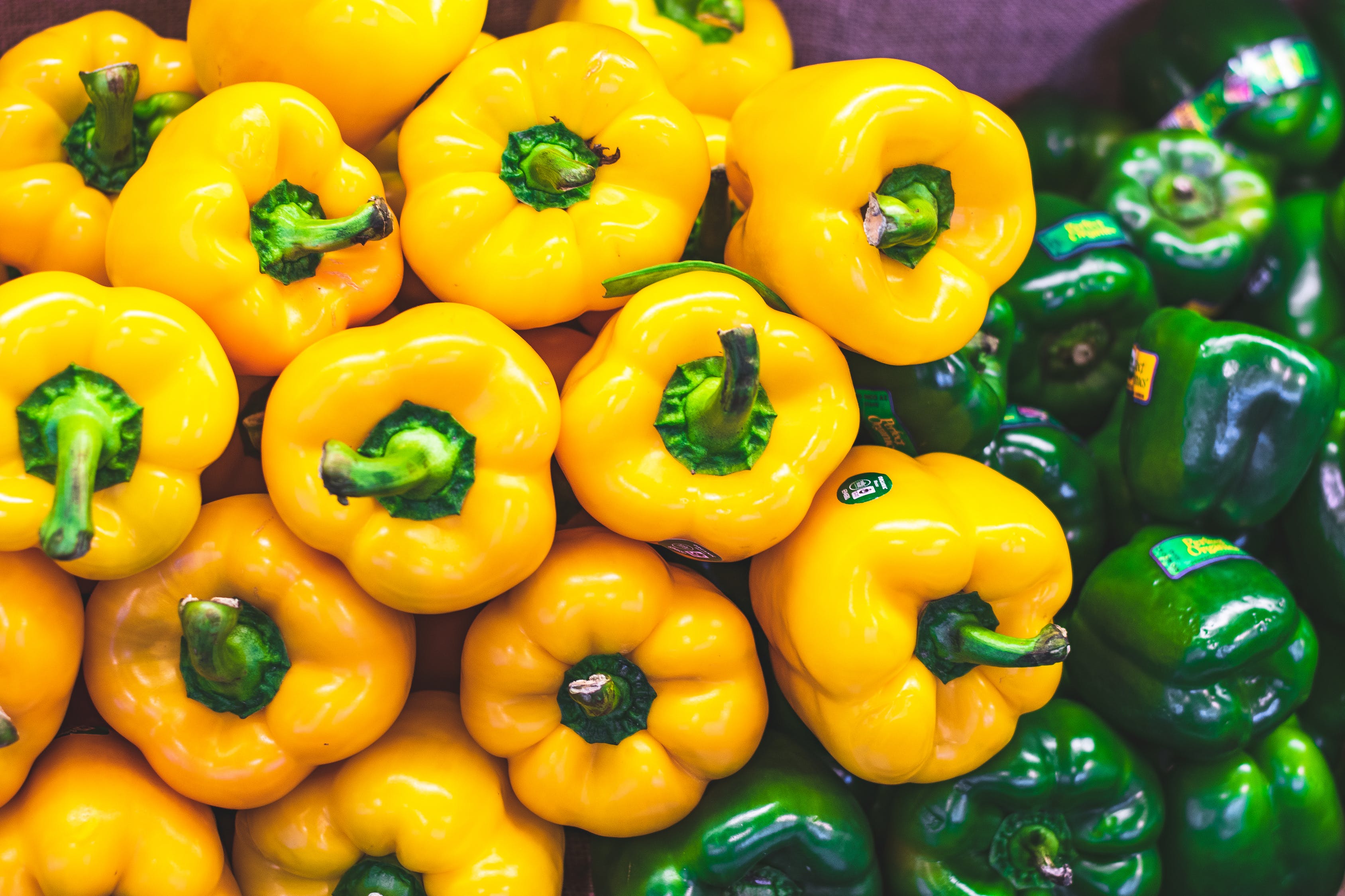 capsicum