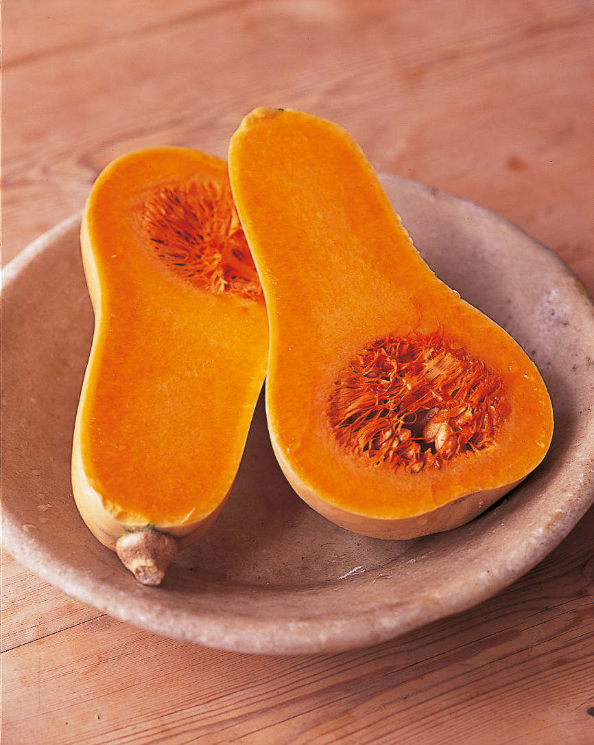 htc winter pumpkin and squash