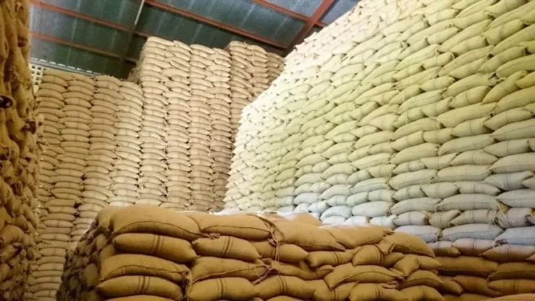 Maize storage