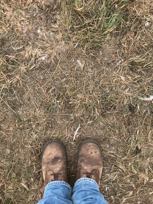 Farmer Max Before