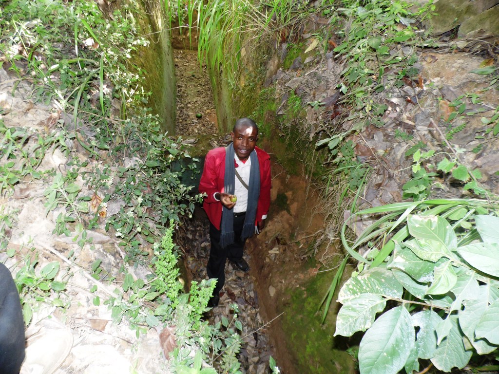 trench water harvesting