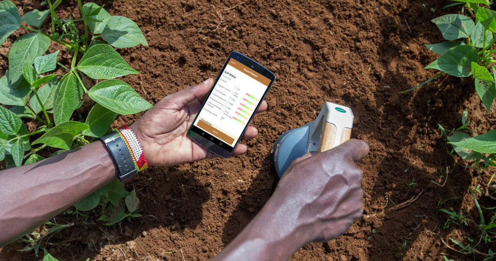 soil test